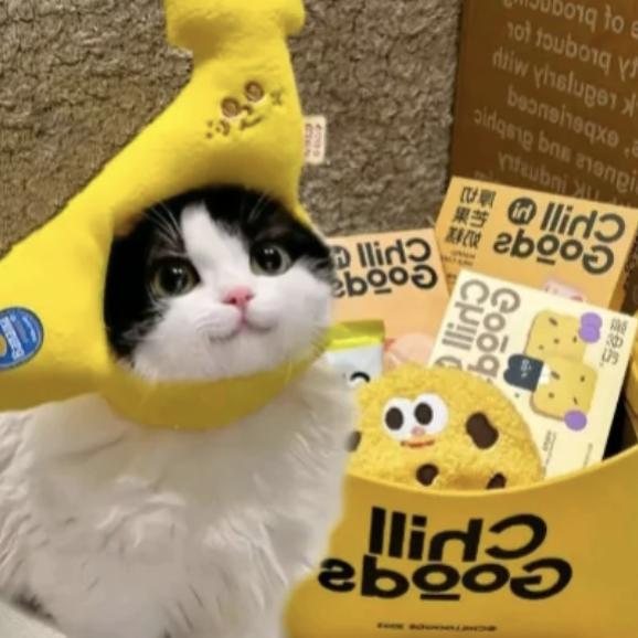 开心的西瓜大王