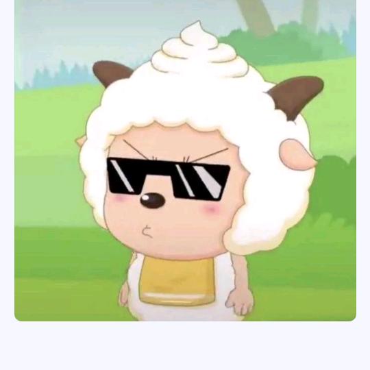 懒洋洋✨