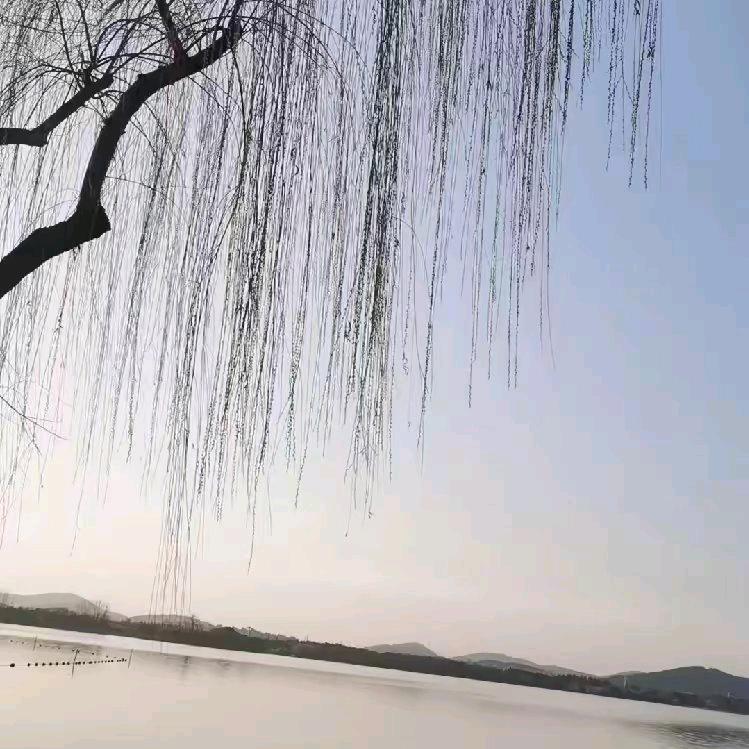 ღ᭄℘永不言弃²⁰²⁵❤️