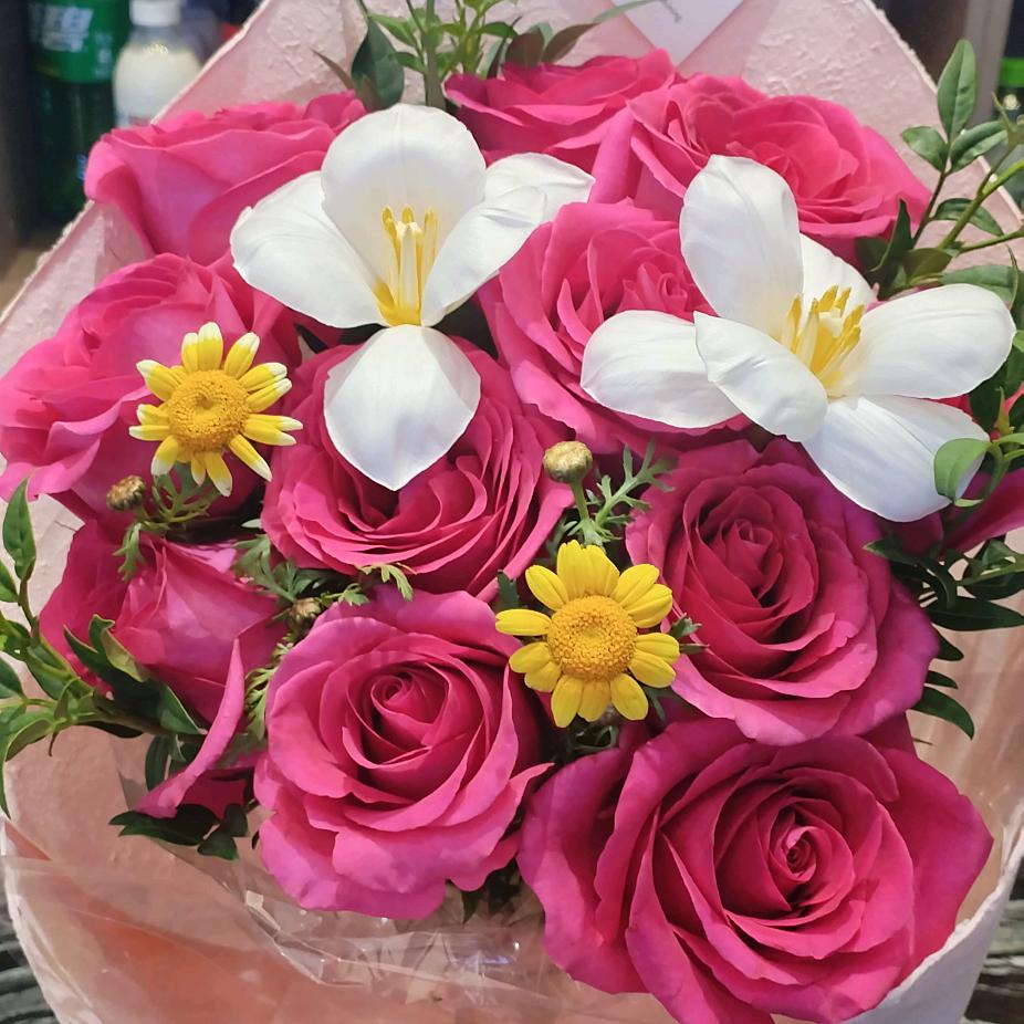春天的花🌹