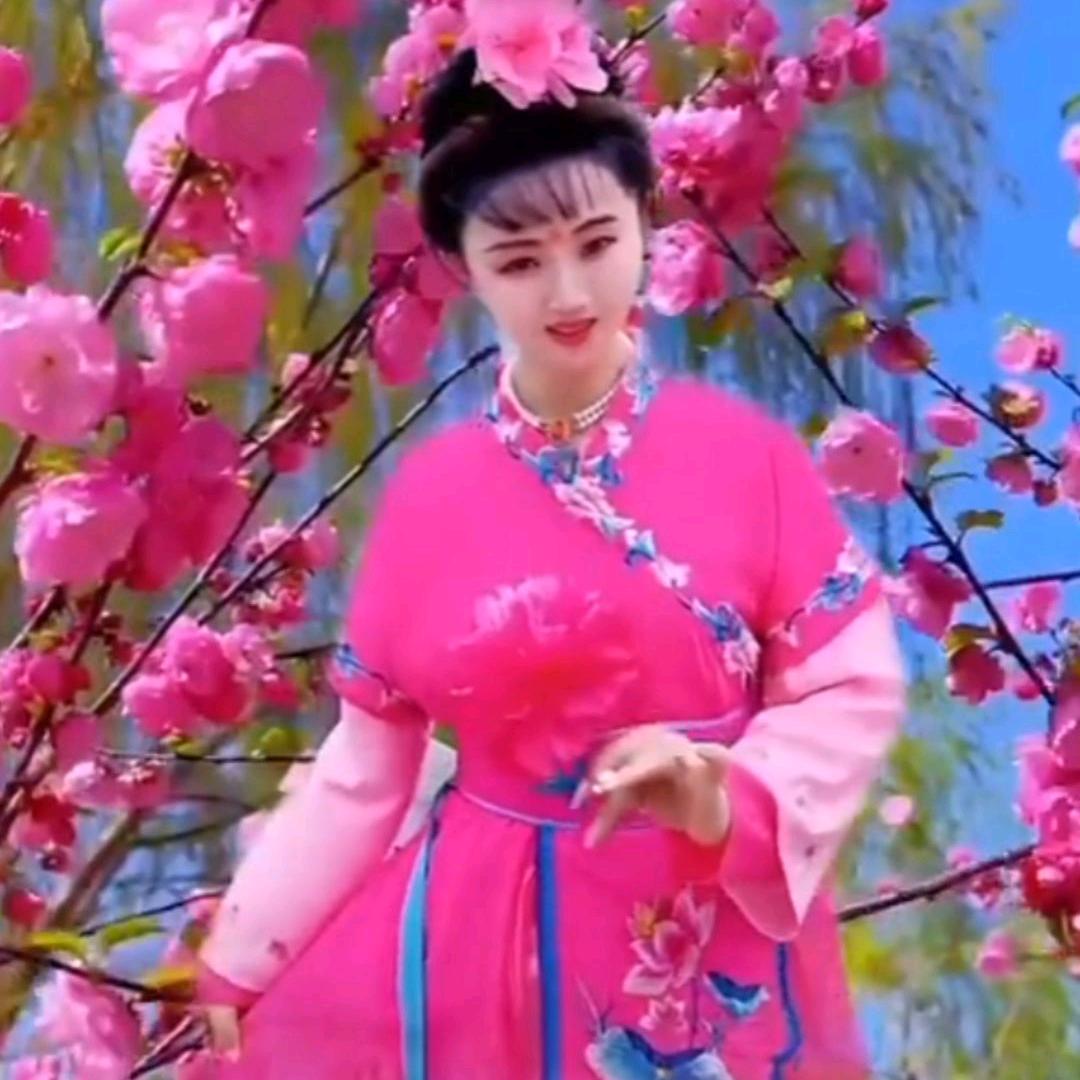 鹦鹉