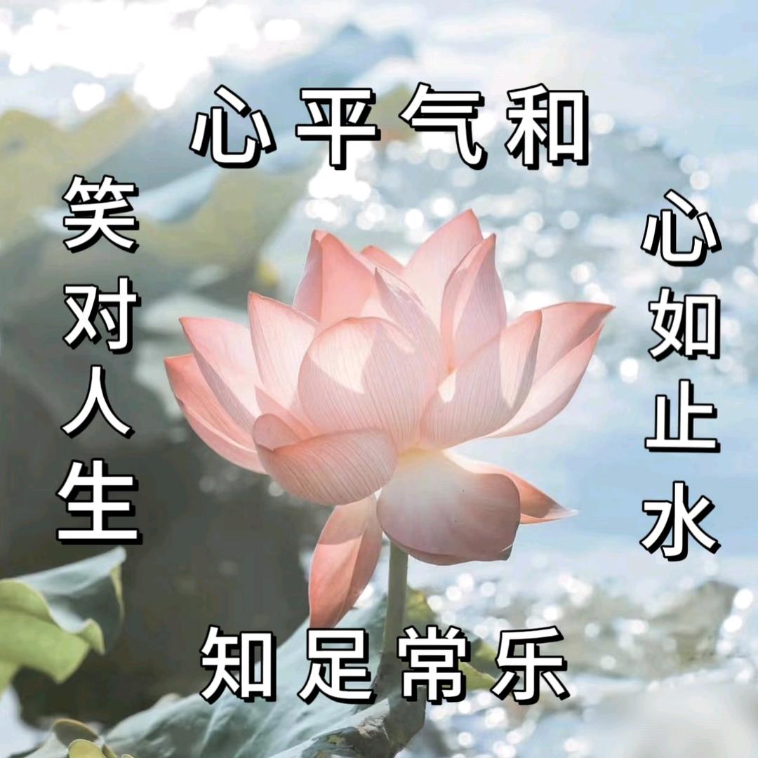 静悠正能量