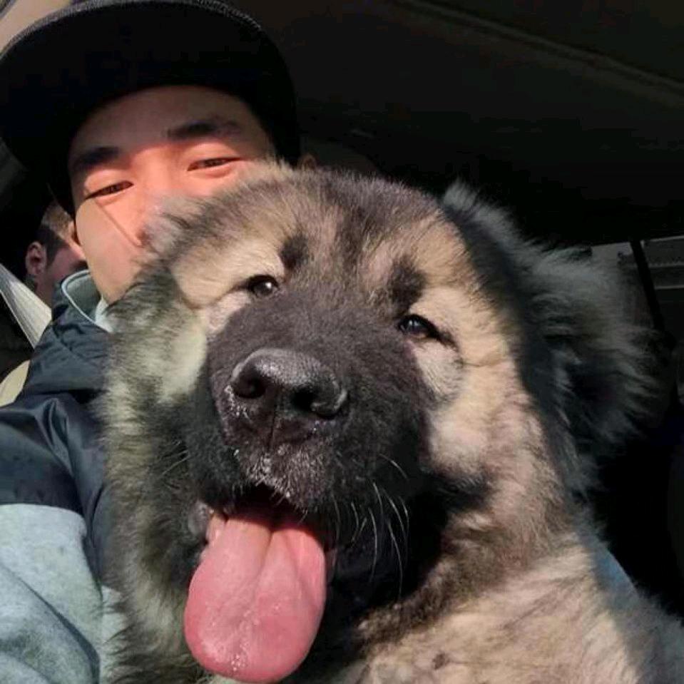 糖醋鱼