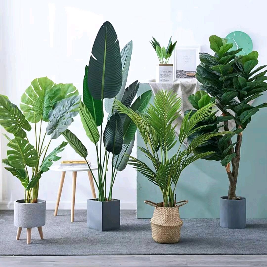 工匠绿植基地