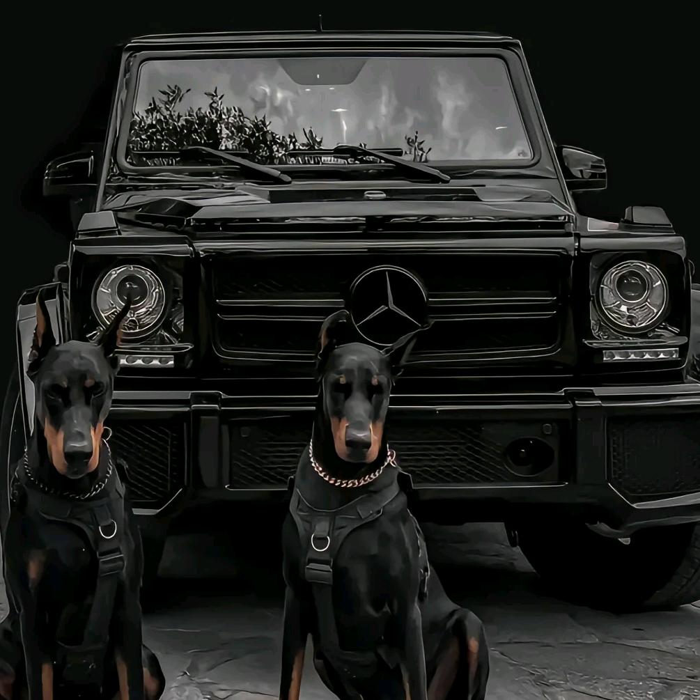 阿龙(景程车业)