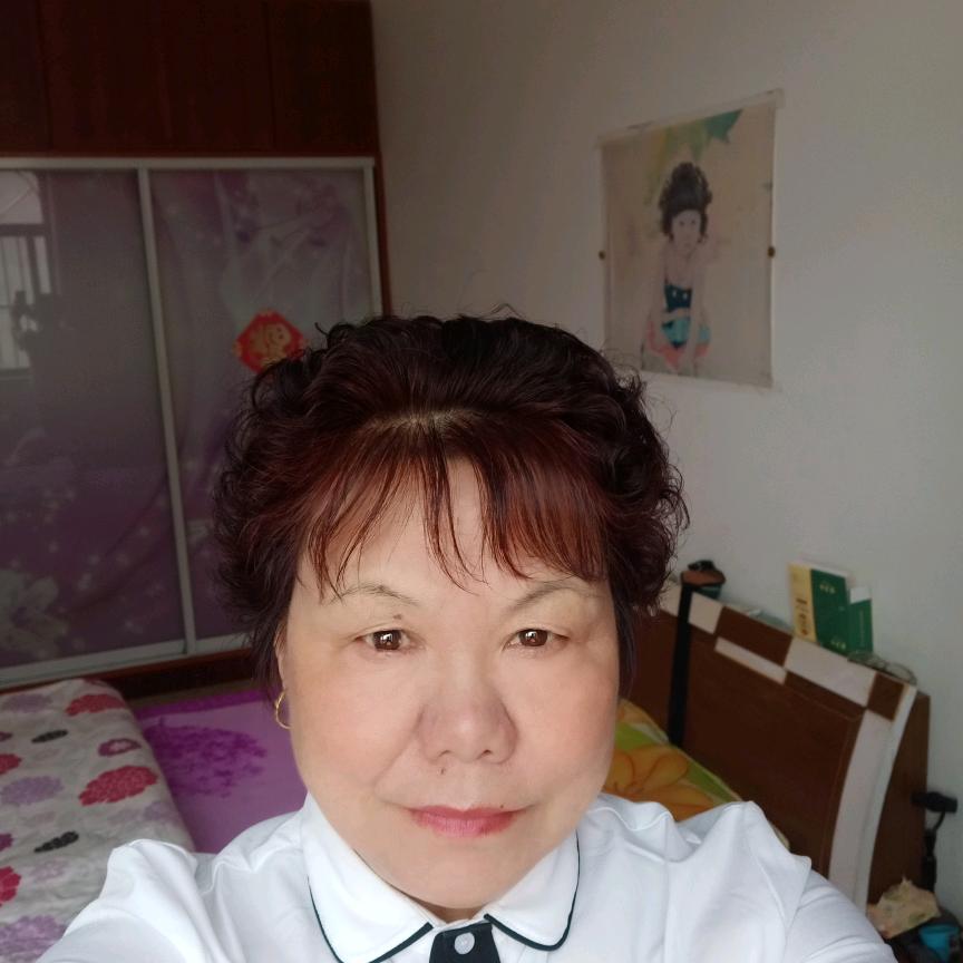 朋珠