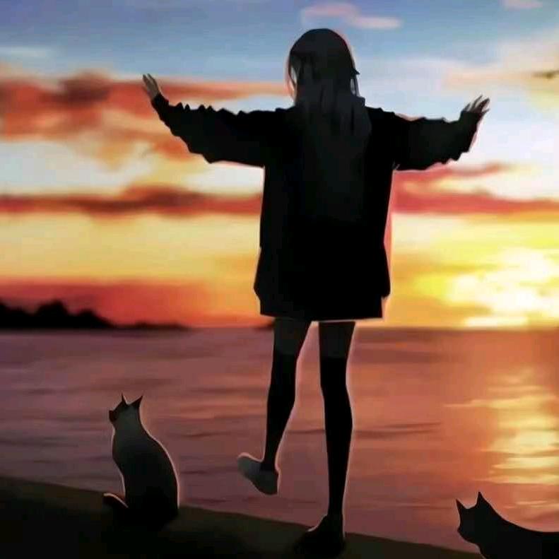 兔兔吖∮
