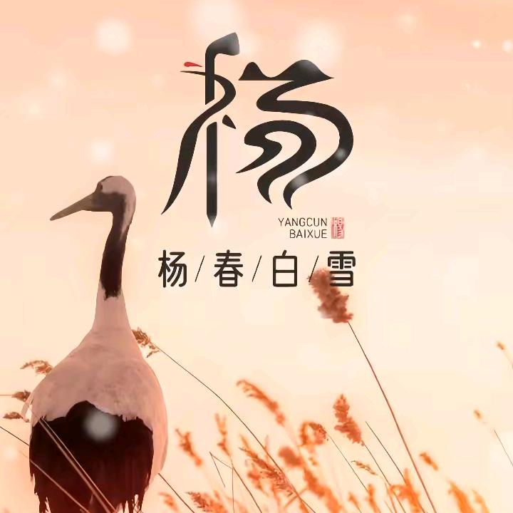 小鱼郞