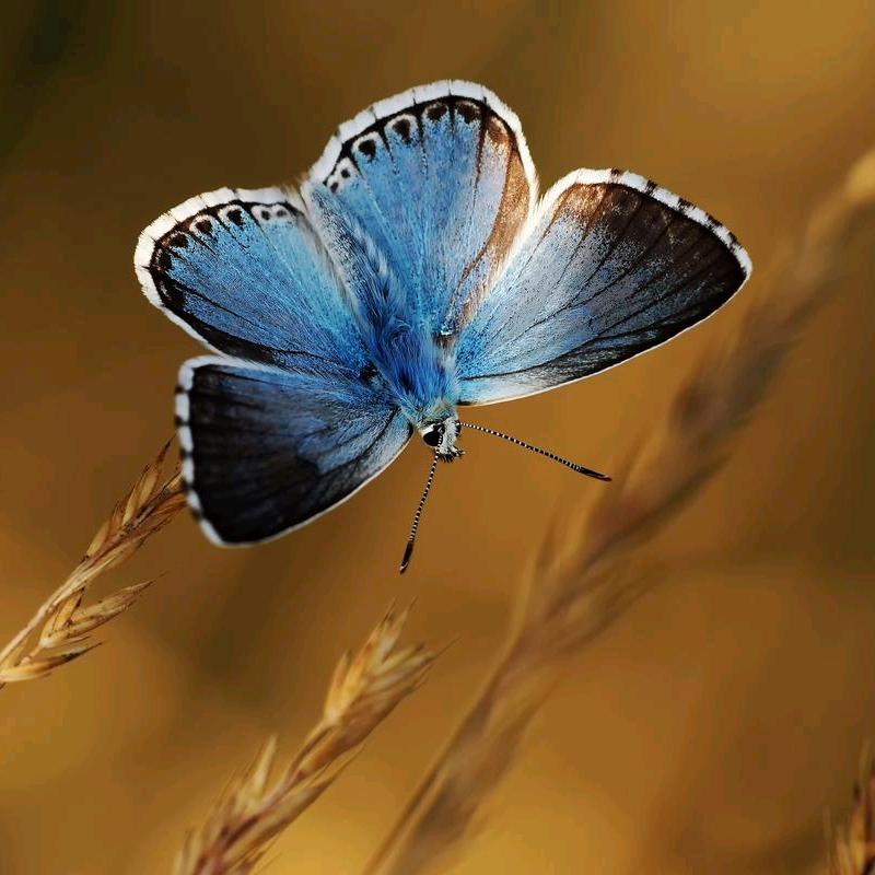 雷小二洗护用品