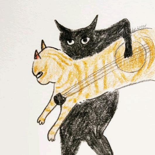 弃猫