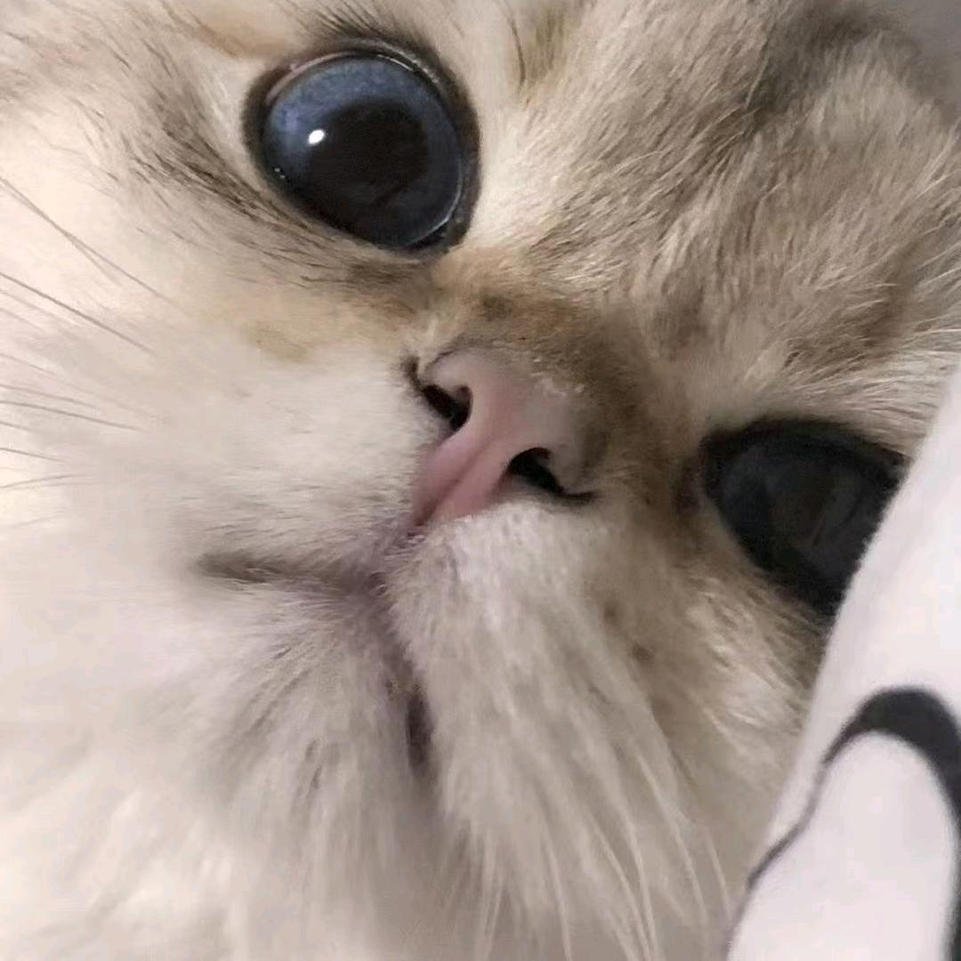 李阔阳