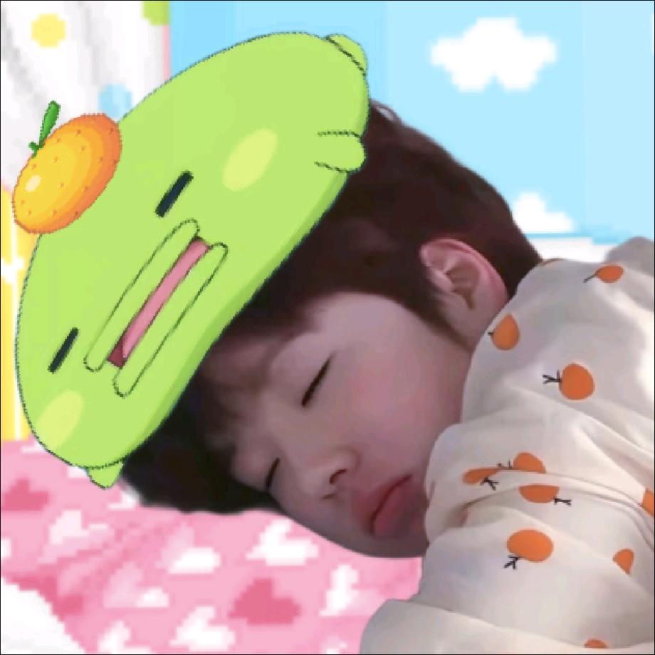 不是sakuya梦女