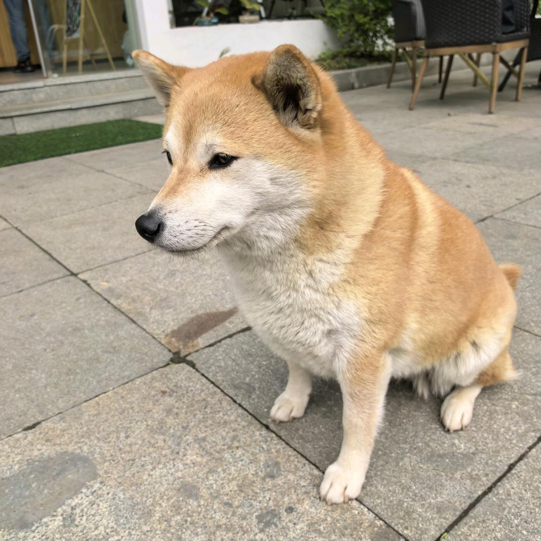 尘封思绪
