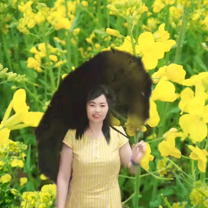 岺大春
