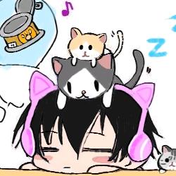 爱看综艺的兮兮