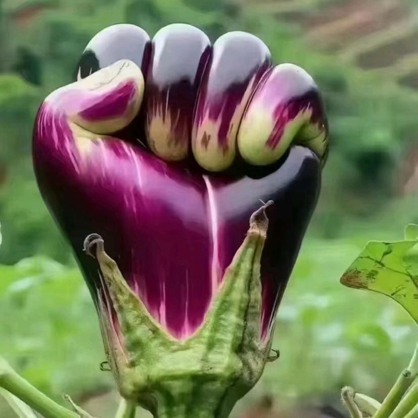 沈阳，同学🙋🏼‍♂️