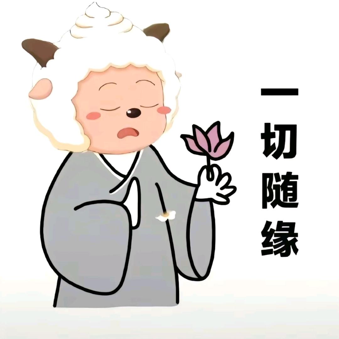 元气少女谢广坤