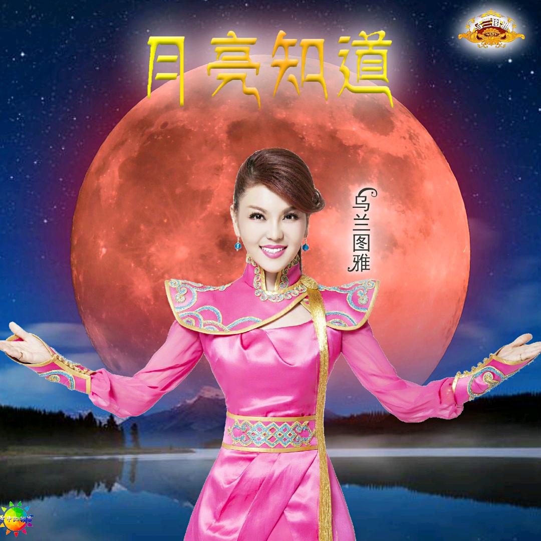蒙古一枝花🌹