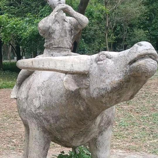 新歌来啦