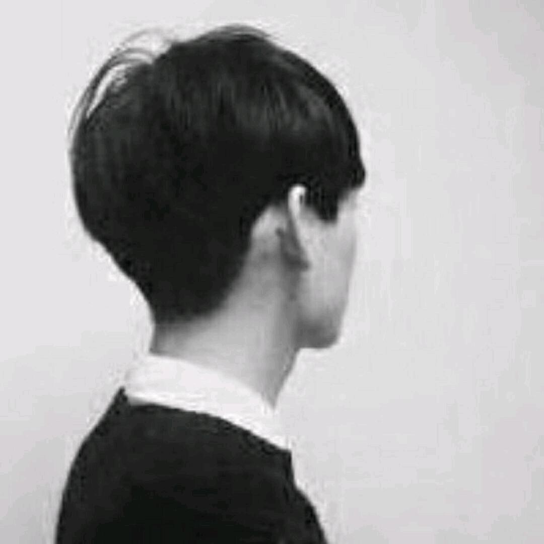 情缘歌