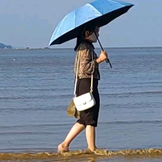 流逝的岁月