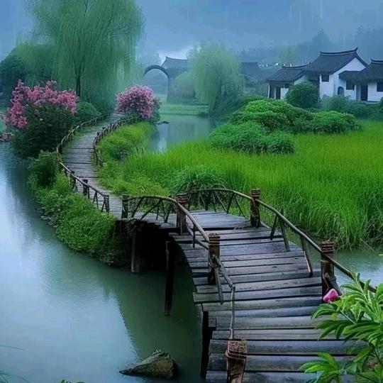 不美不萌又怎样