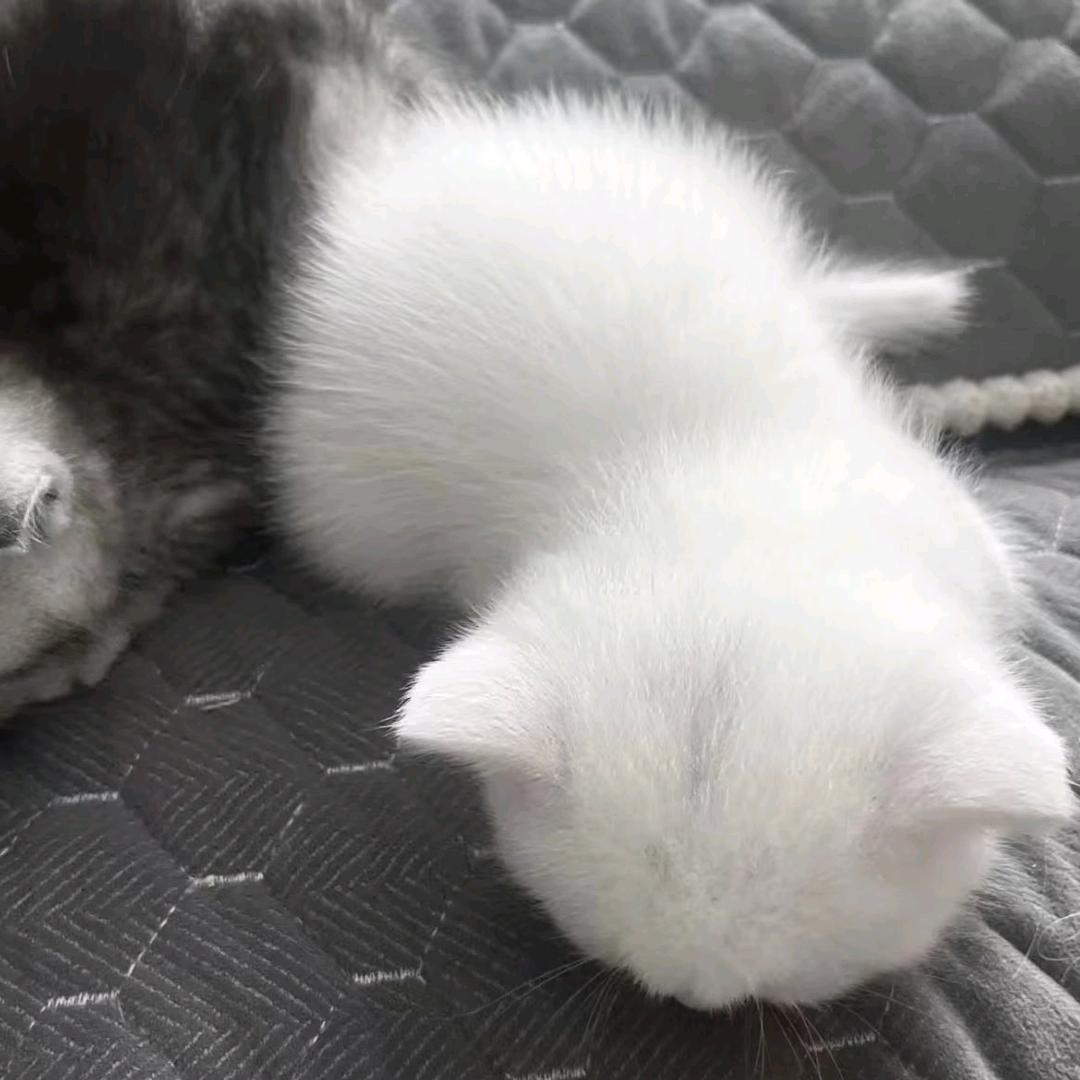 我想抽到手机