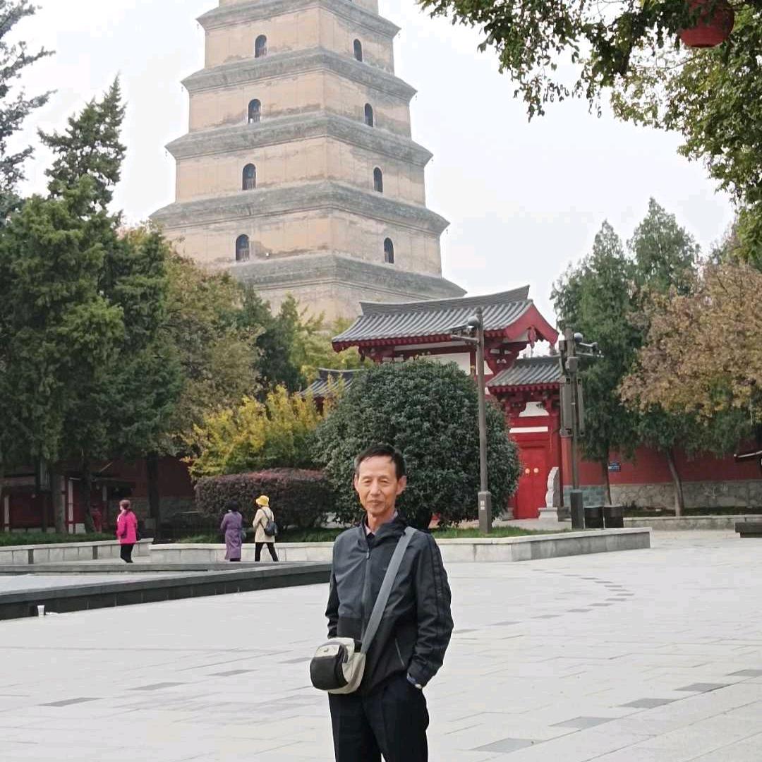 李金