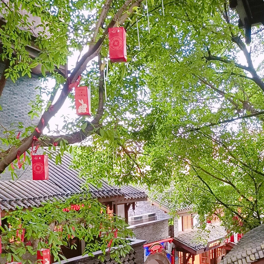 家有俩漏风小棉袄～～～