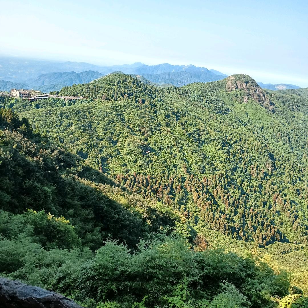 新化青丝黛植物养发馆