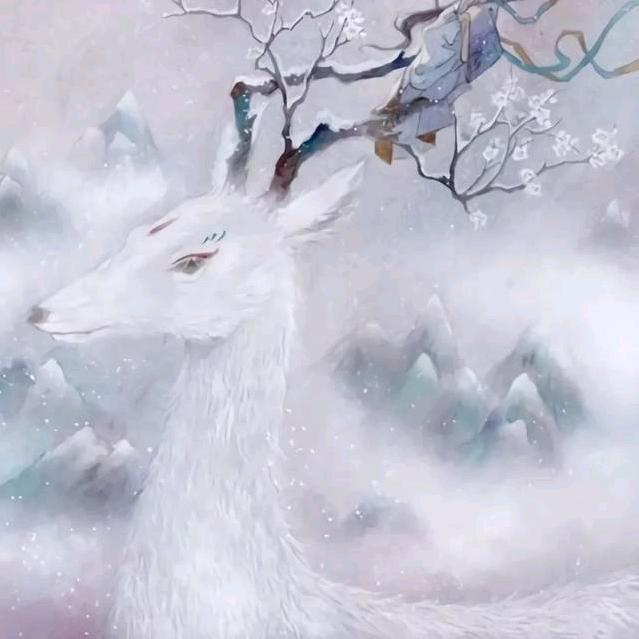 每天都在想发财