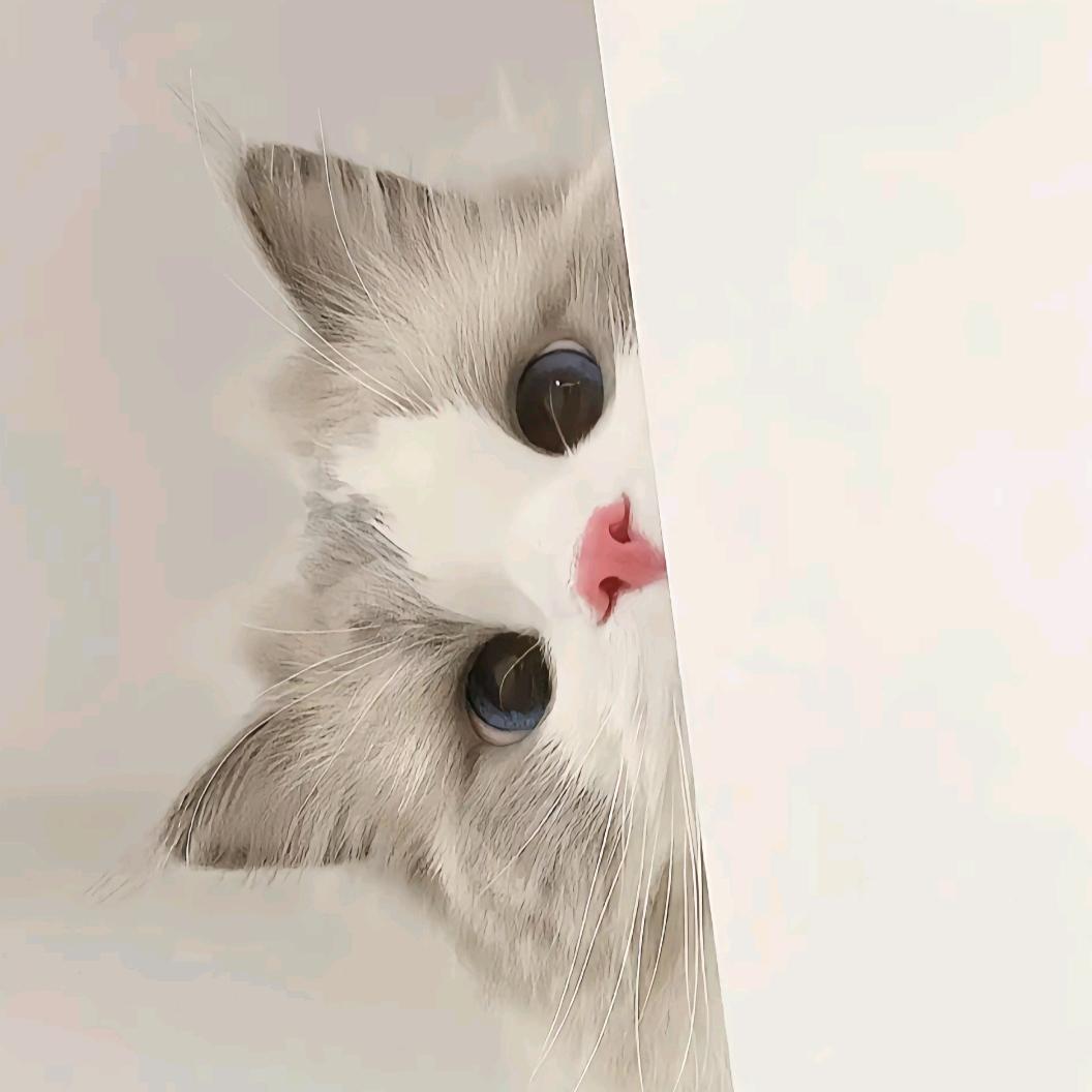 小魚