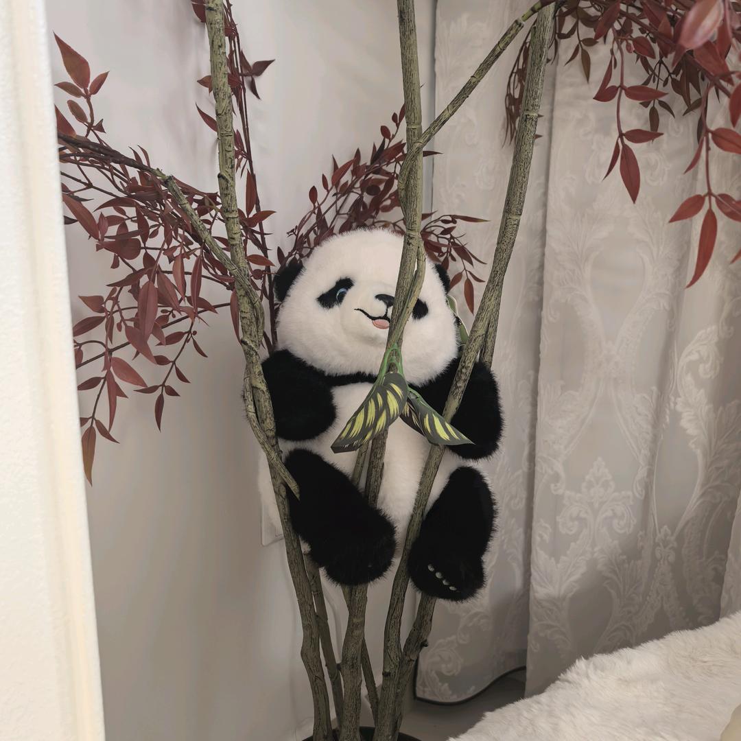 爱美美哒玉垚