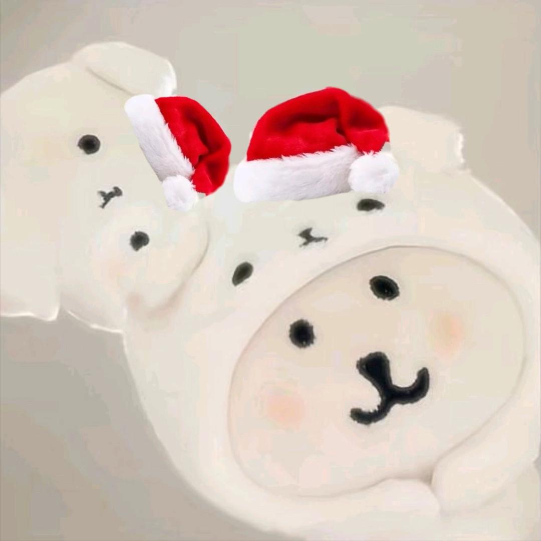 菠萝不吹雪