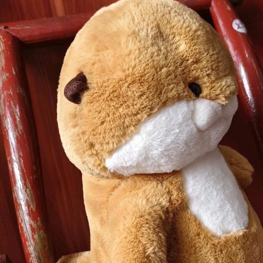 小布丁酸奶