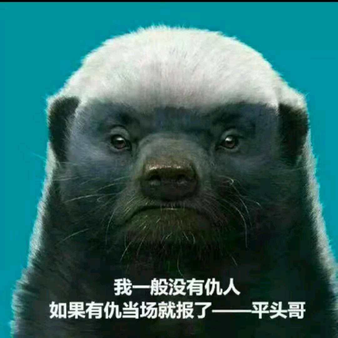 挣钱养🐷