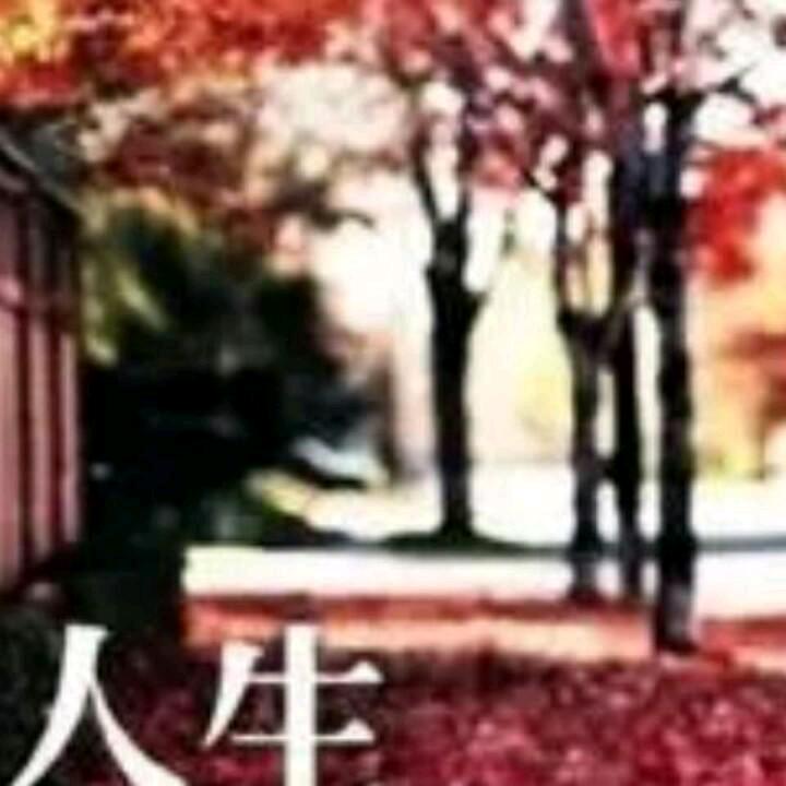 用户930837406墨香风韵