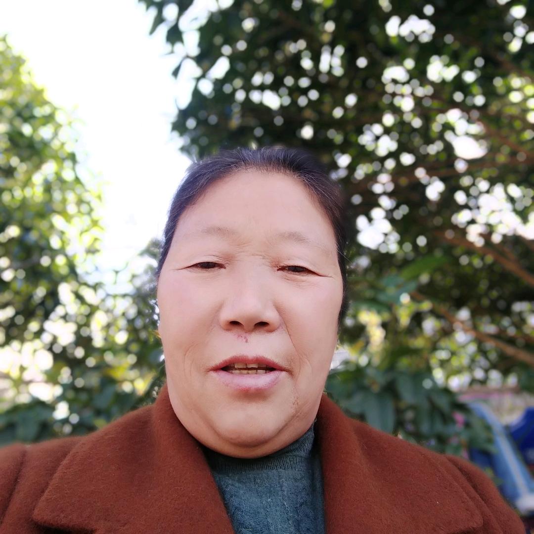 来世不后悔