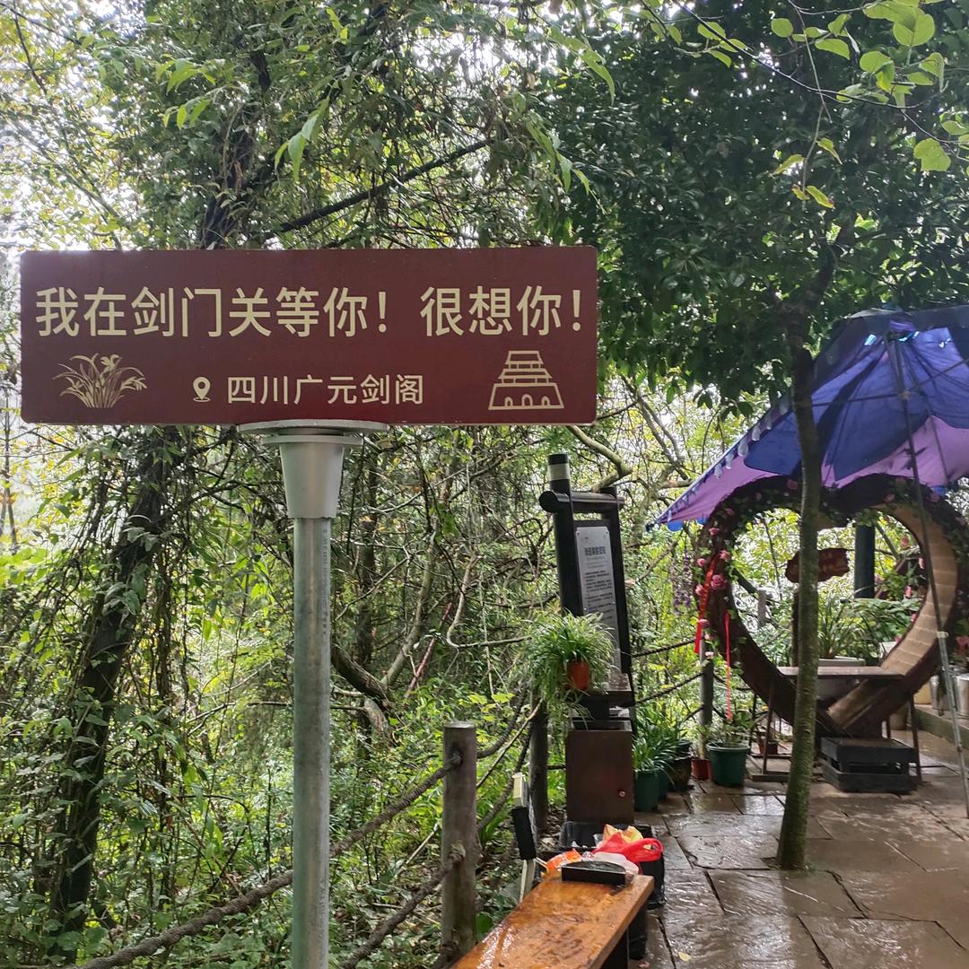 用户1629156137945