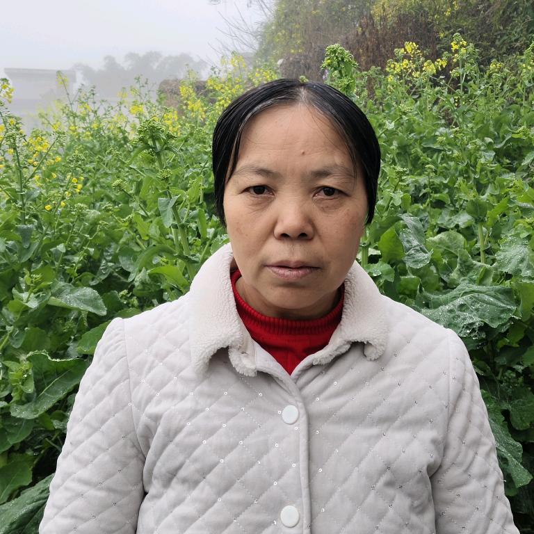 邹大姐（每天19:10分开播）