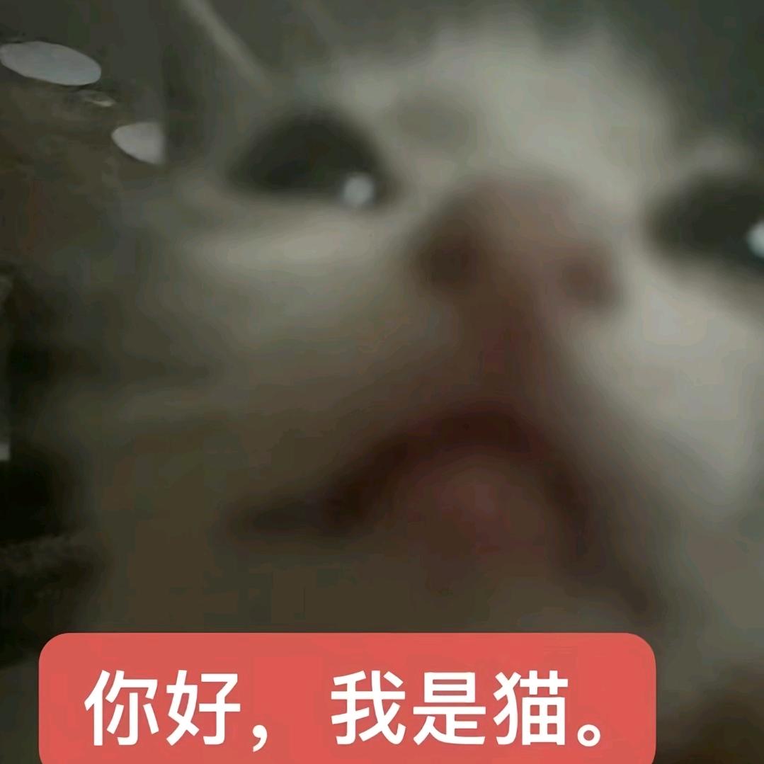 用户11151001