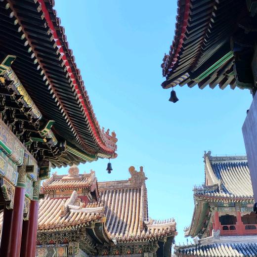 你的名字
