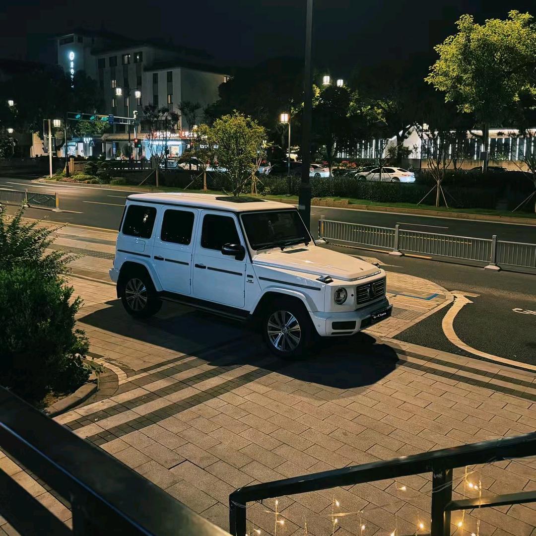 一条鱼养了两条狗