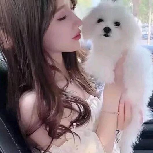 危险派对