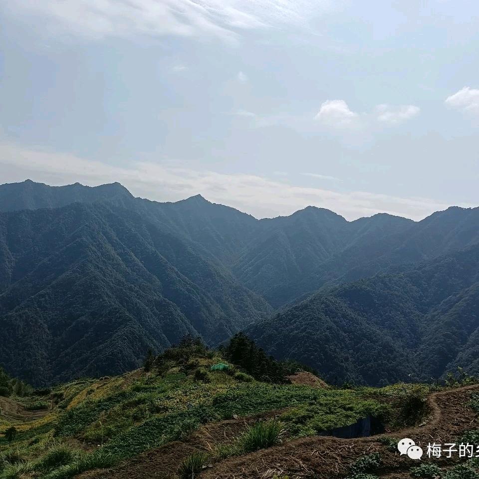 农村人（不要连赞👍）