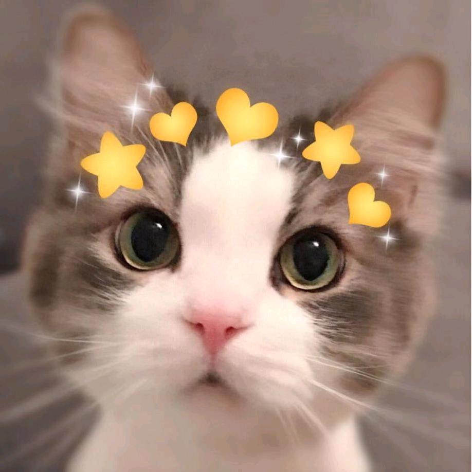 招财猫、