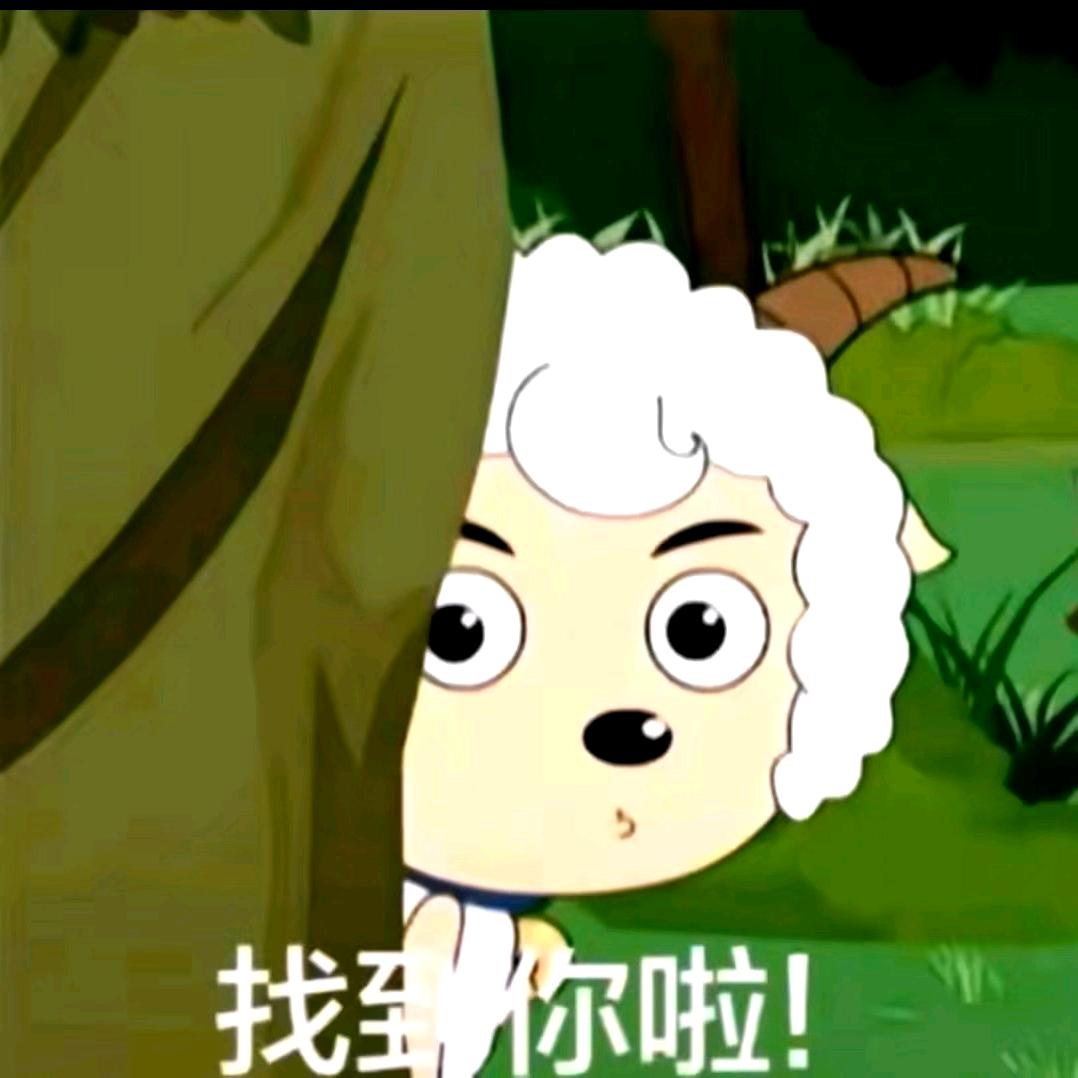 徐哲亲