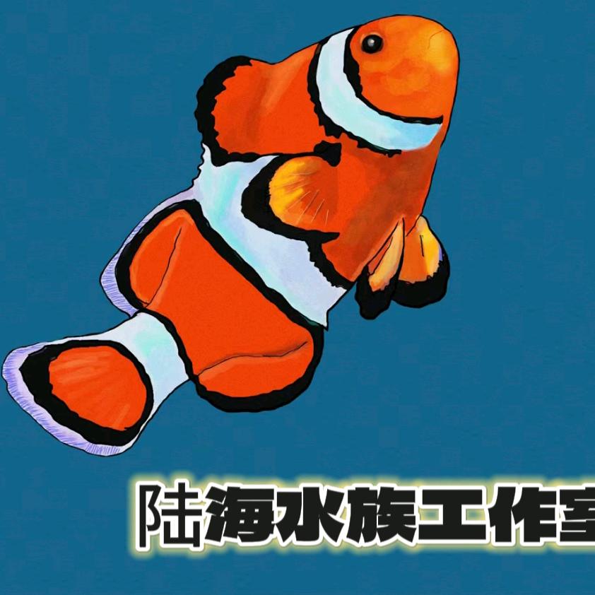 陆海水族工作室。
