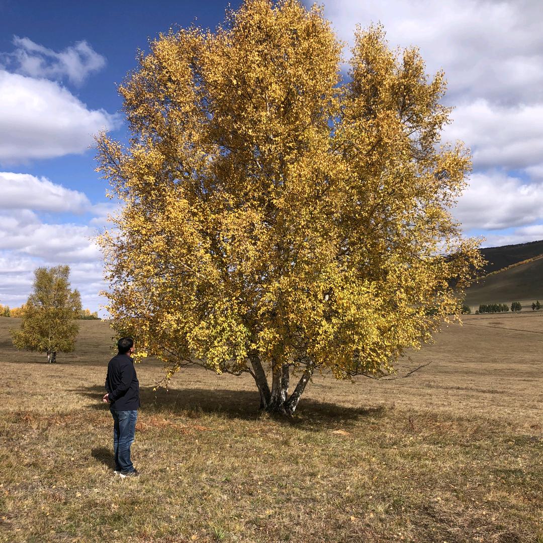 太阳系的第十大行星