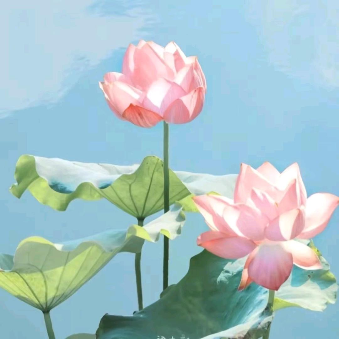 赵姐ξ